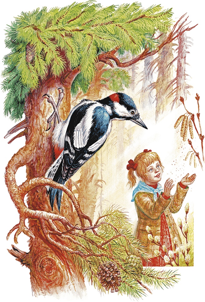 Иллюстрация к книге — Сказки о природе [i_018.jpg]