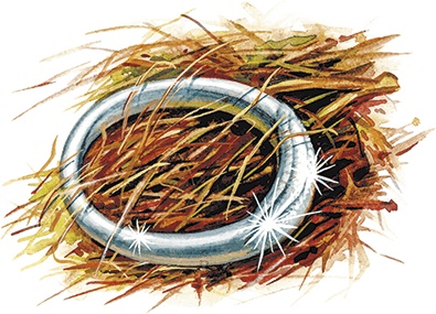 Иллюстрация к книге — Сказки о природе [i_019.jpg]