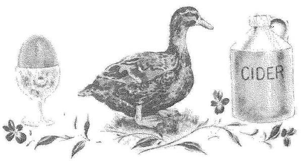 Иллюстрация к книге — Фантастический мистер Фокс [i_004.jpg]