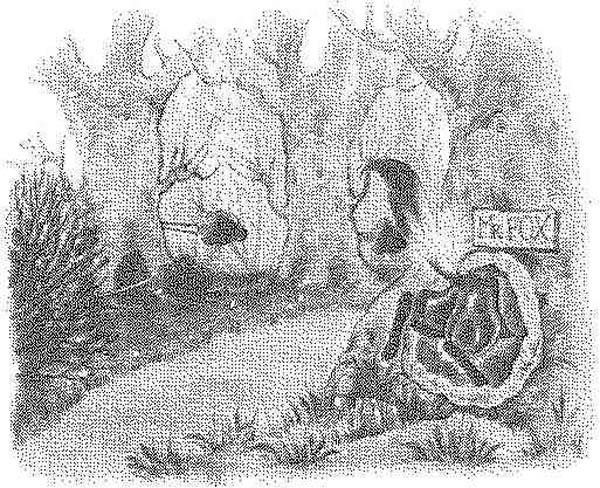 Иллюстрация к книге — Фантастический мистер Фокс [i_008.jpg]