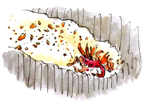 Иллюстрация к книге — Изумительный мистер Лис [_10043.jpg]