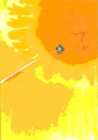 Иллюстрация к книге — Огромный крокодил [img_38.jpg]