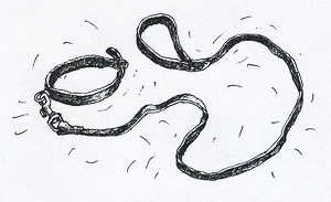 Иллюстрация к книге — Спасибо Уинн-Дикси [i_035.jpg]