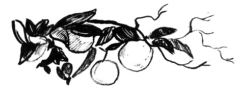 Иллюстрация к книге — Парящий тигр [i_033.jpg]