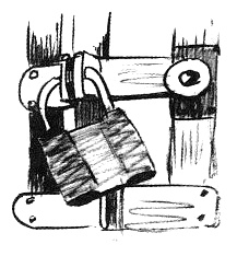 Иллюстрация к книге — Парящий тигр [i_035.jpg]