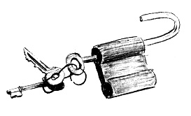 Иллюстрация к книге — Парящий тигр [i_071.jpg]