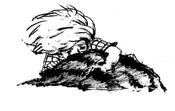 Иллюстрация к книге — Парящий тигр [i_074.jpg]