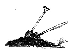 Иллюстрация к книге — Парящий тигр [i_077.jpg]