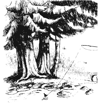 Иллюстрация к книге — Кенни и дракон [i_006.jpg]