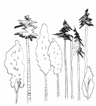 Иллюстрация к книге — Очень. Петербургские сказки [pic_21.jpg]