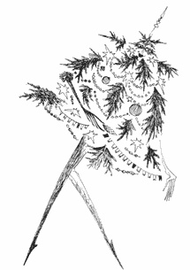 Иллюстрация к книге — Очень. Петербургские сказки [pic_30.jpg]