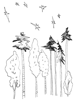 Иллюстрация к книге — Очень. Петербургские сказки [pic_31.jpg]