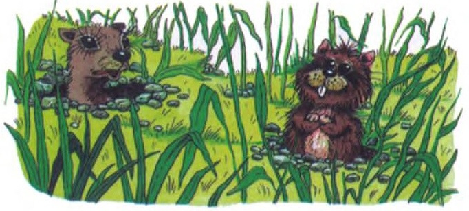 Иллюстрация к книге — Хитрая ворона [i_010.jpg]