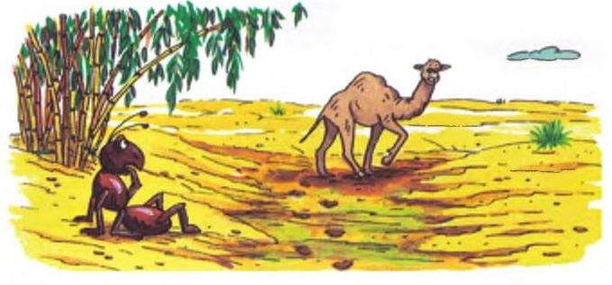 Иллюстрация к книге — Хитрая ворона [i_038.jpg]