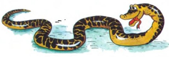 Иллюстрация к книге — Хитрая ворона [i_067.jpg]