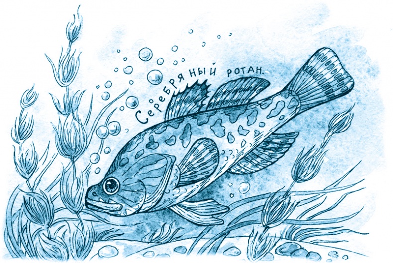 Иллюстрация к книге — Кампан (сборник) [i_028.jpg]