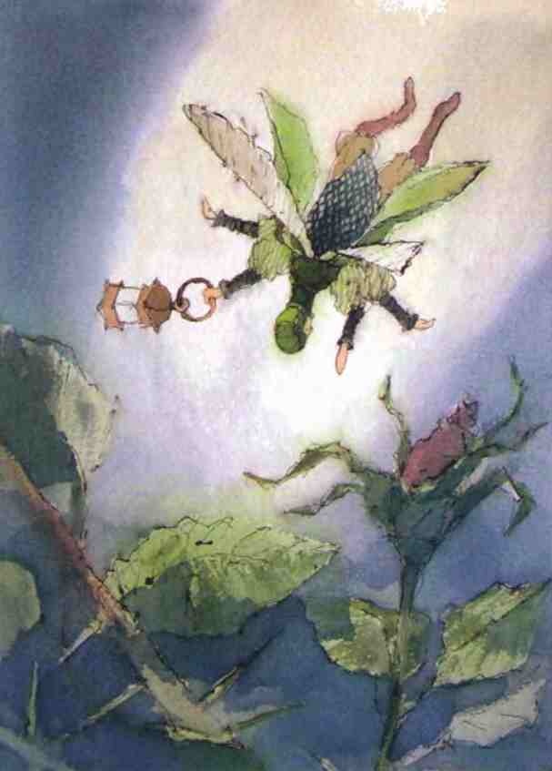 Иллюстрация к книге — Светлячки [i_009.jpg]