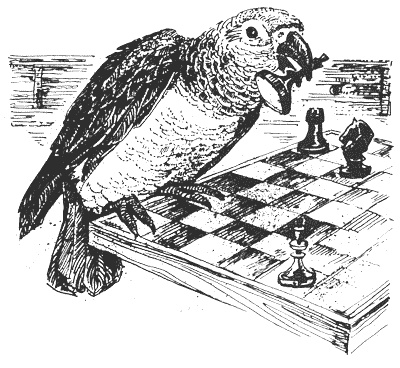 Иллюстрация к книге — Гарри и попугай [i_006.jpg]