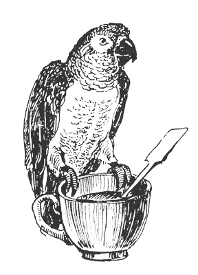 Иллюстрация к книге — Гарри и попугай [i_015.jpg]