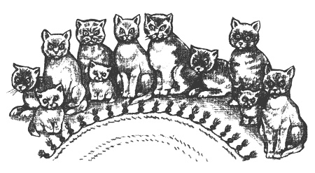 Иллюстрация к книге — Гарри и попугай [i_018.jpg]