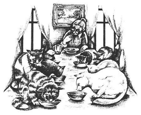 Иллюстрация к книге — Гарри и попугай [i_019.jpg]