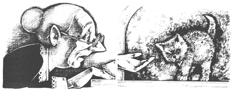 Иллюстрация к книге — Гарри и попугай [i_022.jpg]