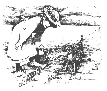 Иллюстрация к книге — Гарри и попугай [i_024.jpg]