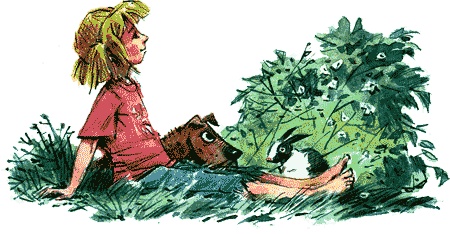 Иллюстрация к книге — Нос королевы [img32.jpg]