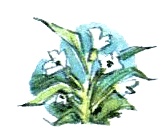 Иллюстрация к книге — Леди Дейзи [i_019.jpg]