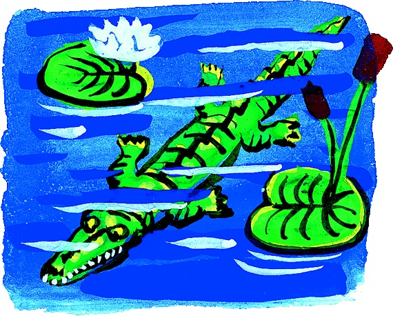 Иллюстрация к книге — Как появились броненосцы [i_016.jpg]