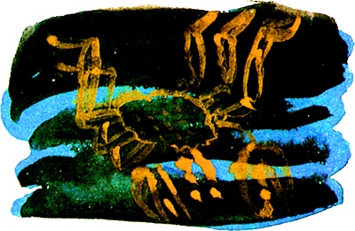 Иллюстрация к книге — Мотылек, который топнул ногой [i_007.jpg]