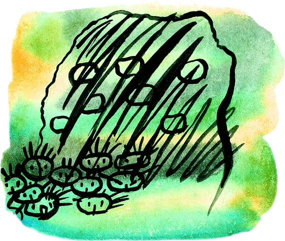 Иллюстрация к книге — Мотылек, который топнул ногой [i_030.jpg]