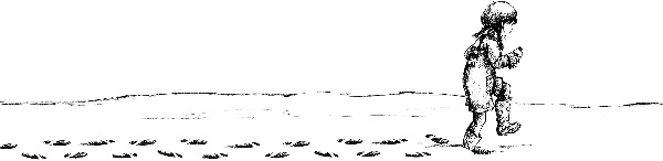 Иллюстрация к книге — Рождественские истории. Покатай меня, медведица! [i_001.jpg]