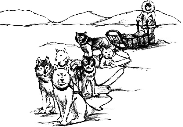 Иллюстрация к книге — Рождественские истории. Покатай меня, медведица! [i_028.jpg]