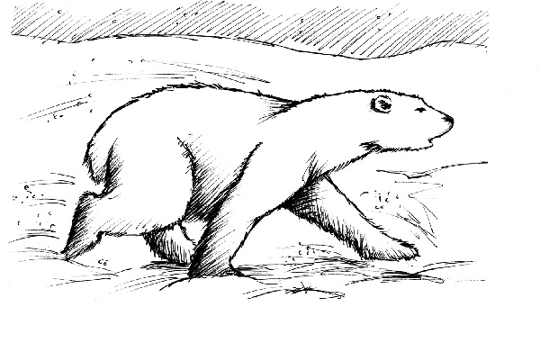 Иллюстрация к книге — Рождественские истории. Покатай меня, медведица! [i_034.jpg]