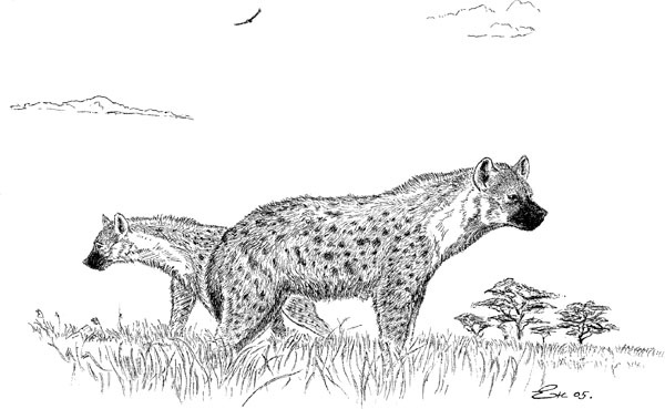 Иллюстрация к книге — Нескучная биология [_187.jpg]