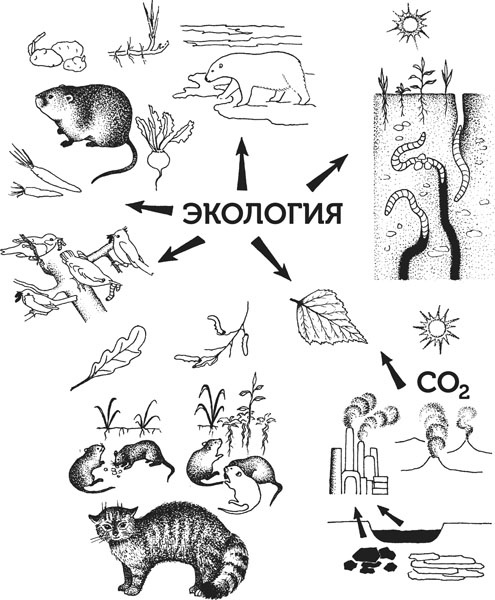Иллюстрация к книге — Нескучная биология [_190.jpg]