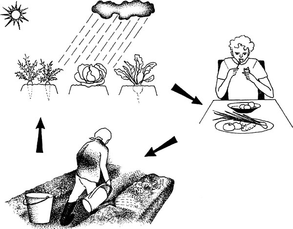 Иллюстрация к книге — Нескучная биология [_192.jpg]