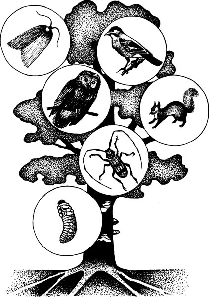 Иллюстрация к книге — Нескучная биология [_2032.jpg]