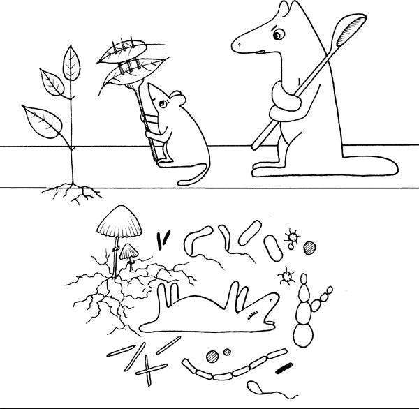 Иллюстрация к книге — Нескучная биология [_74.jpg]