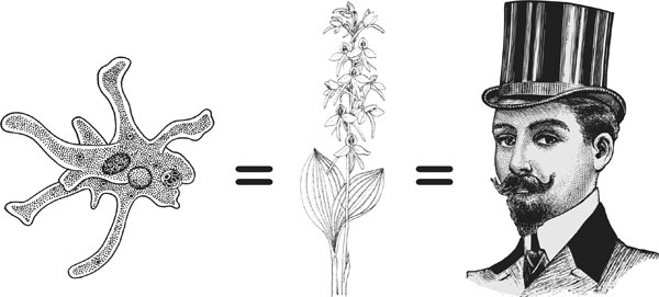 Иллюстрация к книге — Нескучная биология [_8.jpg]