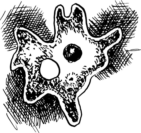 Иллюстрация к книге — Нескучная биология [_80.jpg]