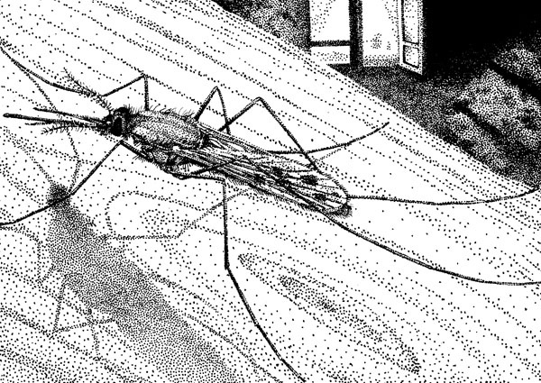 Иллюстрация к книге — Нескучная биология [_91.jpg]