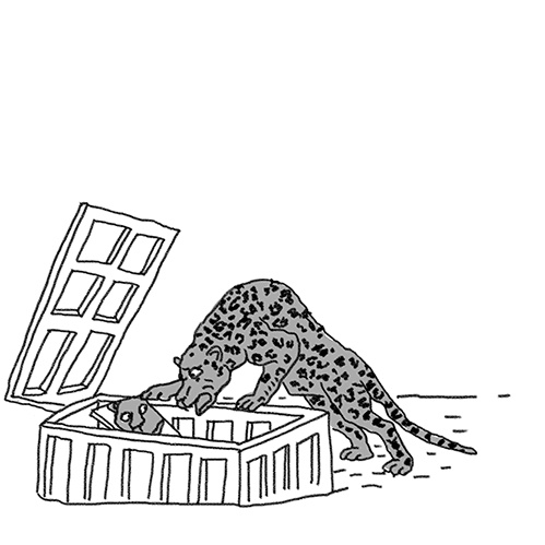 Иллюстрация к книге — Вдруг охотник выбегает [i_006.jpg]