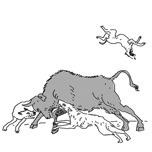 Иллюстрация к книге — Вдруг охотник выбегает [i_009.jpg]