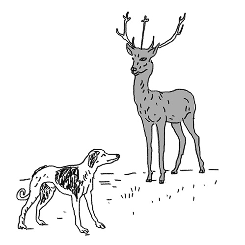 Иллюстрация к книге — Вдруг охотник выбегает [i_012.jpg]