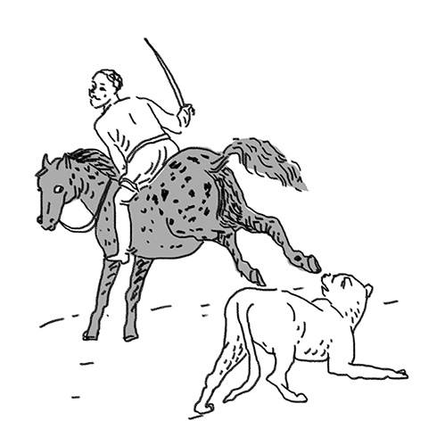 Иллюстрация к книге — Вдруг охотник выбегает [i_015.jpg]