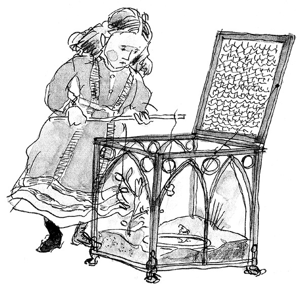 Иллюстрация к книге — Мисс Черити [i_007.jpg]