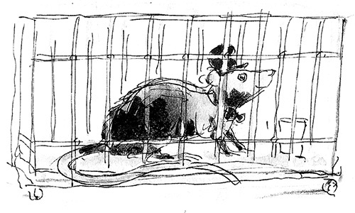 Иллюстрация к книге — Мисс Черити [i_016.jpg]