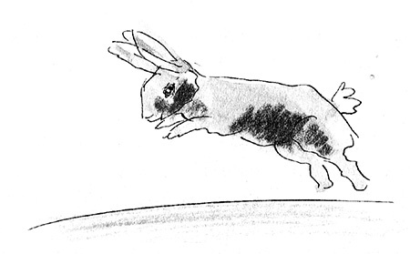 Иллюстрация к книге — Мисс Черити [i_041.jpg]